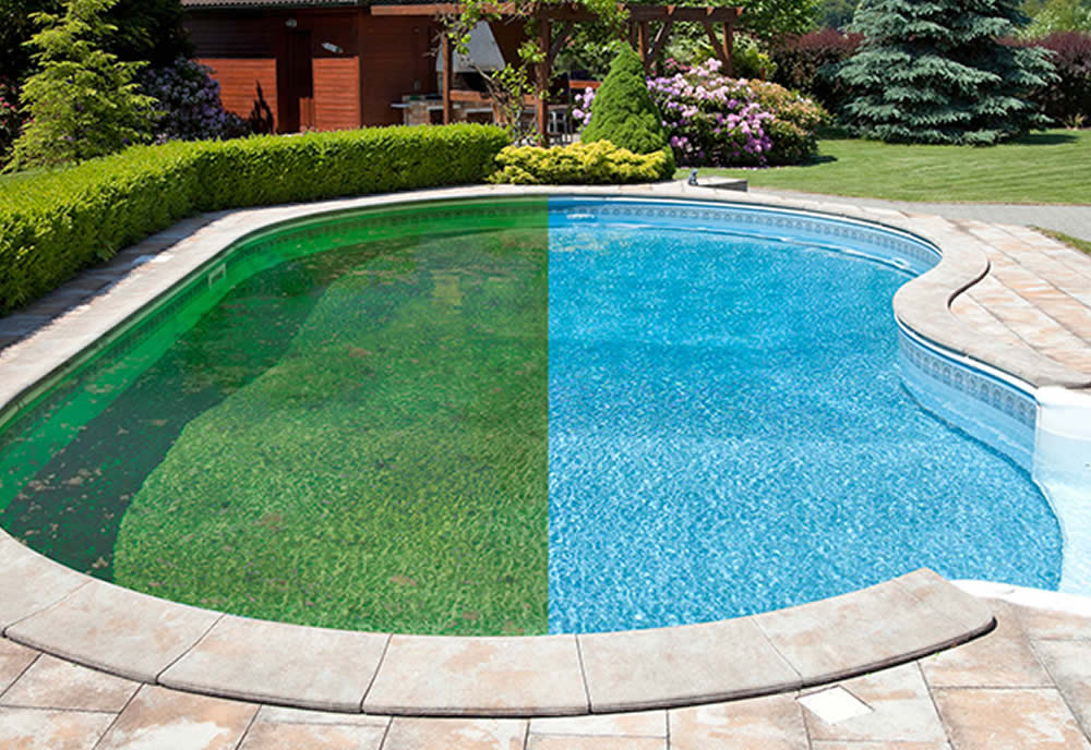 Green to Clean Pool