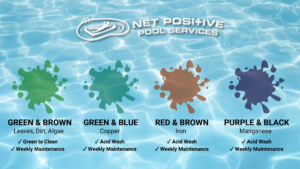 Pool stain infographic