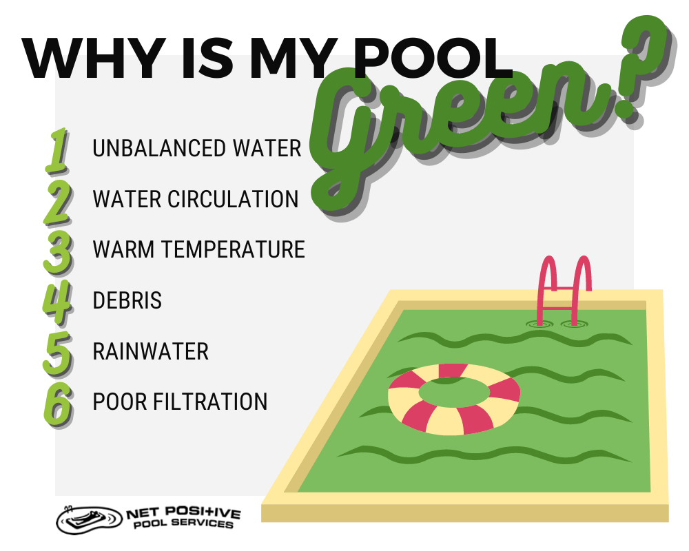 How to Clean a Green Pool Clean Your Green Pool Fast