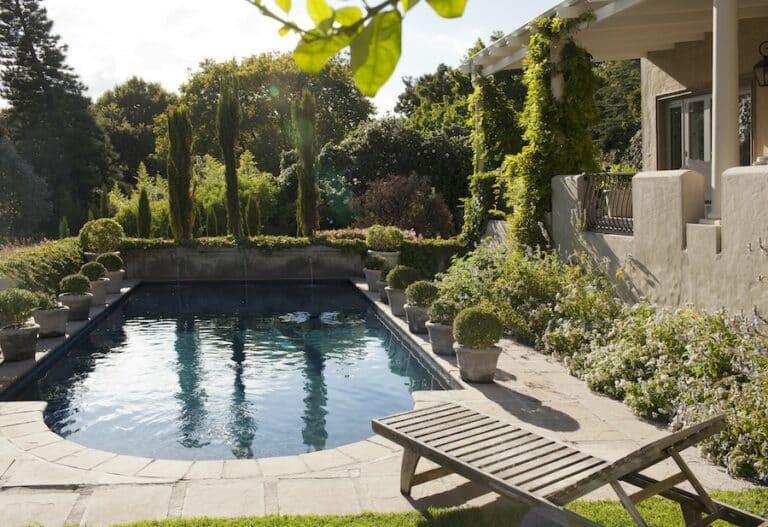 Luxury swimming pool surrounded by greenery