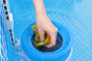 cleaning leaves out of a pool skimmer
