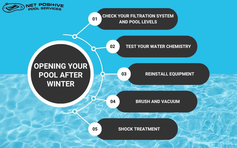 Infographic for Net Positive about the 5 steps to open your pool after winter
