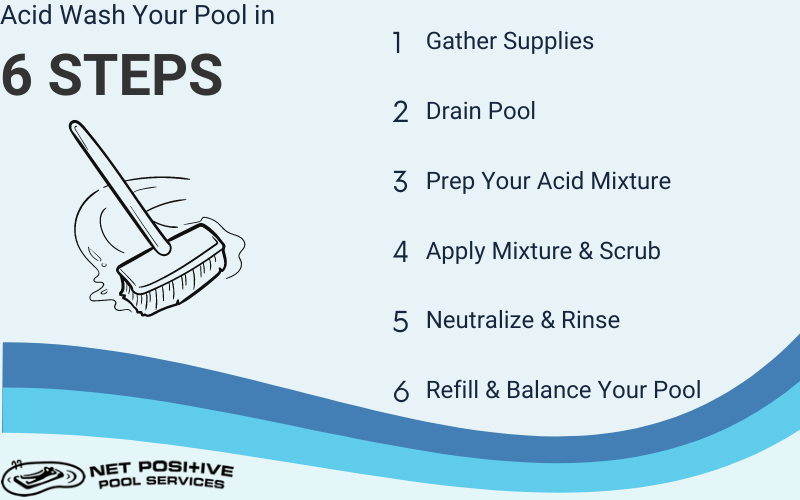 Infographic for Net Positive Pools about the steps to acid washing a pool