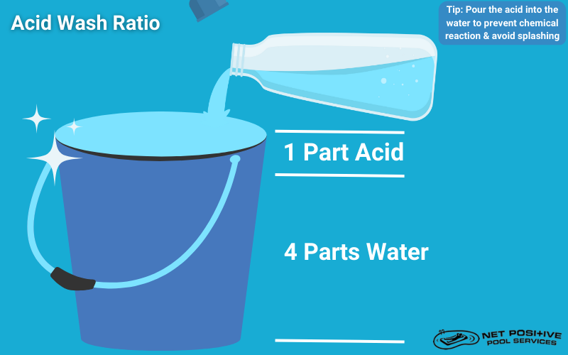 Infographic for Net Positive Pools depicting the correct ratio for acid washing your swimming pool