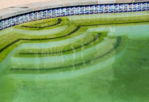 Back yard swimming pool behind modern single family home at pool opening with green stagnant algae filled water before cleaning