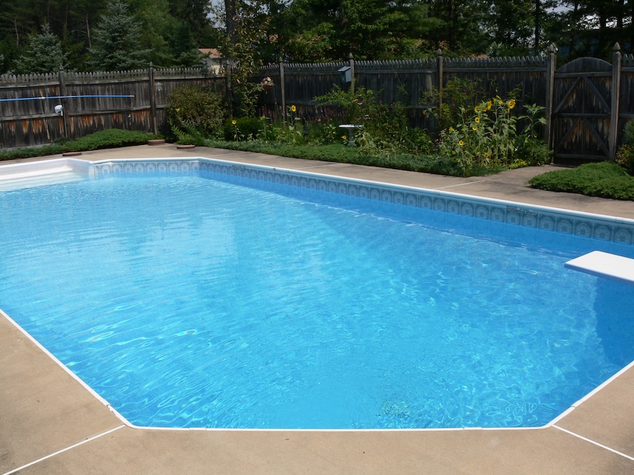 Full length diagonal view suburban back yard inground swimming pool scene with diving board, steps, weathered wooden privacy fence, landscape plantings, pool accoutrements.