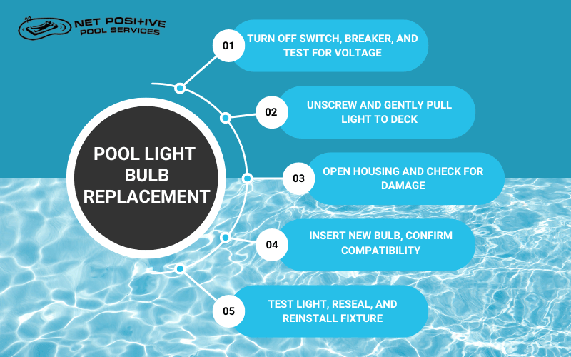 An infographic by Net Positive Pools outlining the steps to replace a pool light
