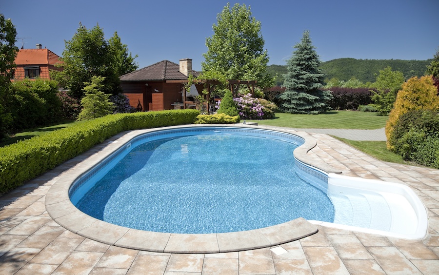 The pool with the garden