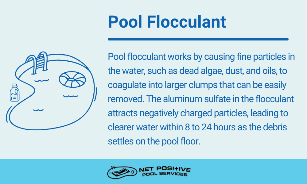 an infographic by Net Positive Pools that describes that pool flocculant is