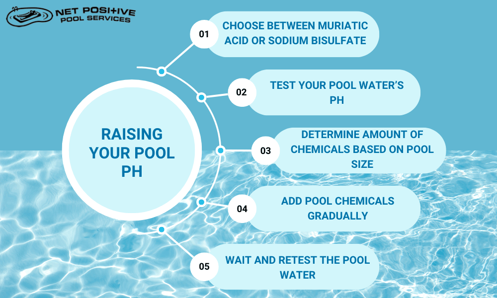 an infographic by Net Positive Pools that explains the steps to raise pool pH
