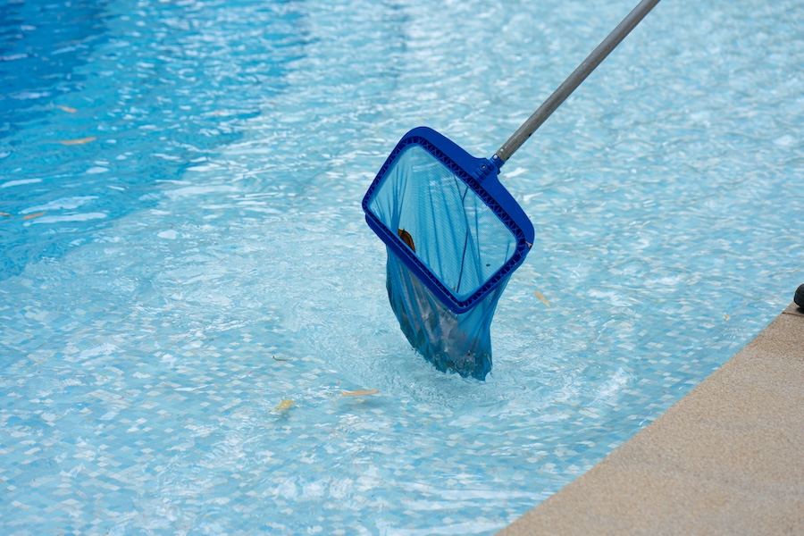 using a net to clean the pool