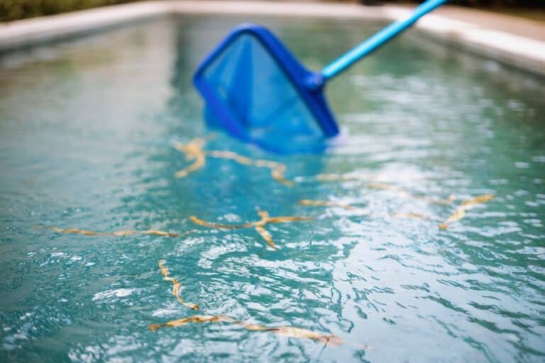 Deep Cleaning and Ongoing Pool Maintenance