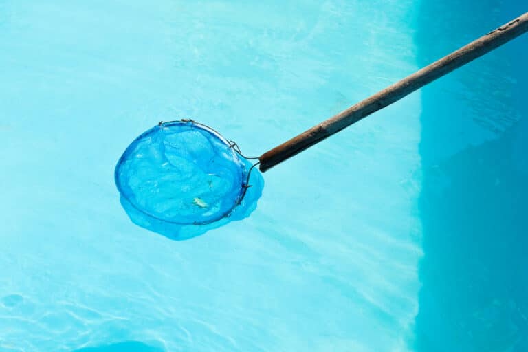 Cleaning of outdoor swimming pool by net leaf skimmer
