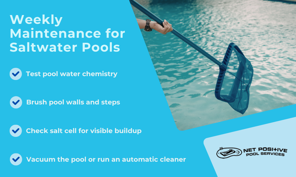 Infographic featuring an image of someone using a skimmer to clean a pool and a list of weekly maintenance tasks for saltwater pools: test pool water chemistry, brush pool walls and steps, check salt cell for visible buildup, and vacuum the pool or run an automatic cleaner.