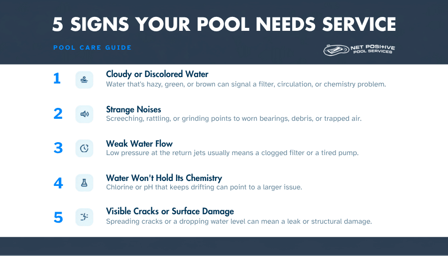 5 Signs Your Pool Needs Service Infographic